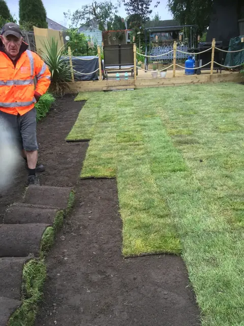 New turf being rolled out on a prepared garden